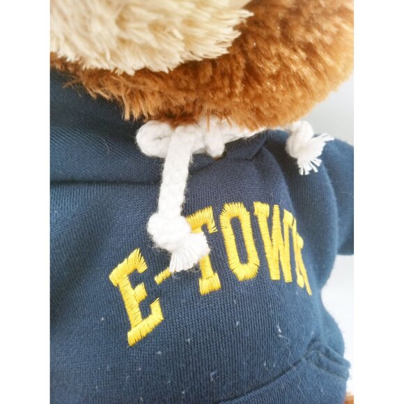 Brown Teddy Gund Everywhere Bear Plush 15382 Blue E-Town Hoodie 15" Animal - Picture 4 of 15